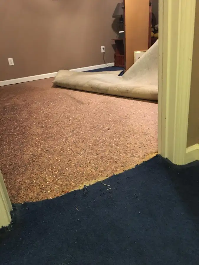 Carpet pad removal revealing water damage during Water Mitigation Services in Portage
