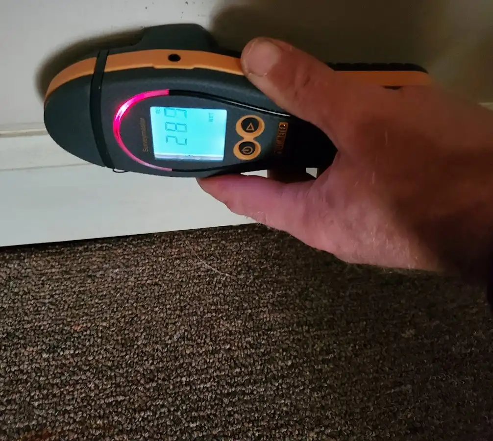 Moisture detection at baseboard during Sewage Cleanup & Sanitation in Portage
